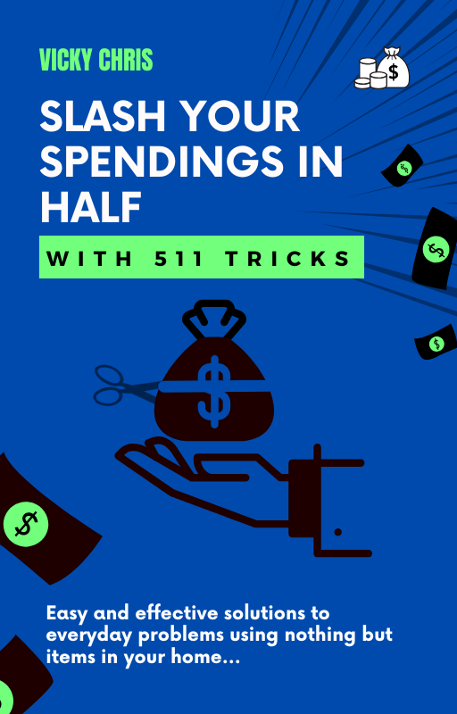 511 Things to Save Money Ebook Cover